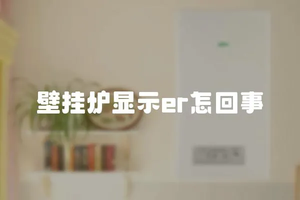 壁掛爐顯示er怎回事
