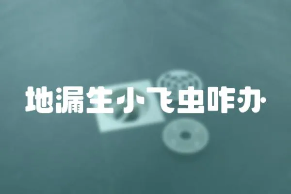 地漏生小飛蟲咋辦