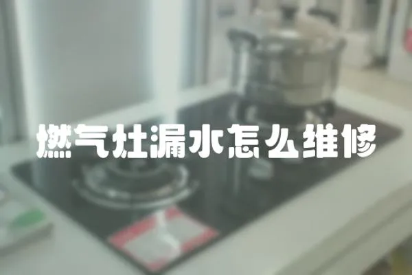 燃?xì)庠盥┧趺淳S修