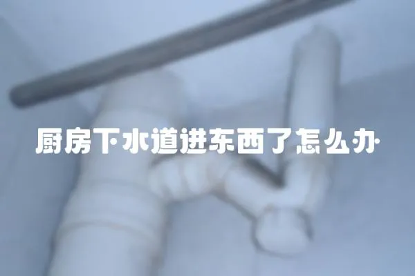 廚房下水道進東西了怎么辦