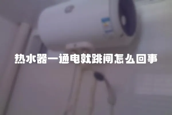 熱水器一通電就跳閘怎么回事