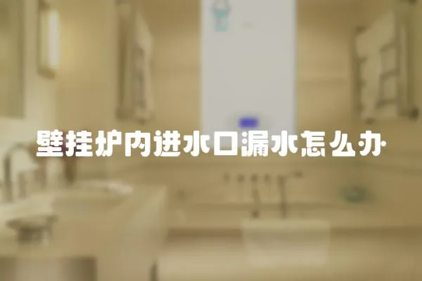 壁掛爐內進水口漏水怎么辦