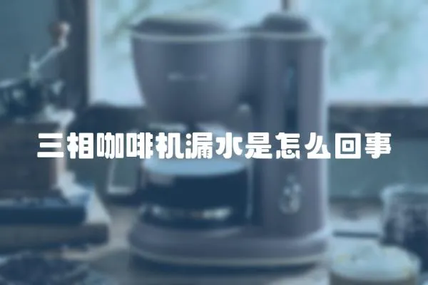 三相咖啡機漏水是怎么回事
