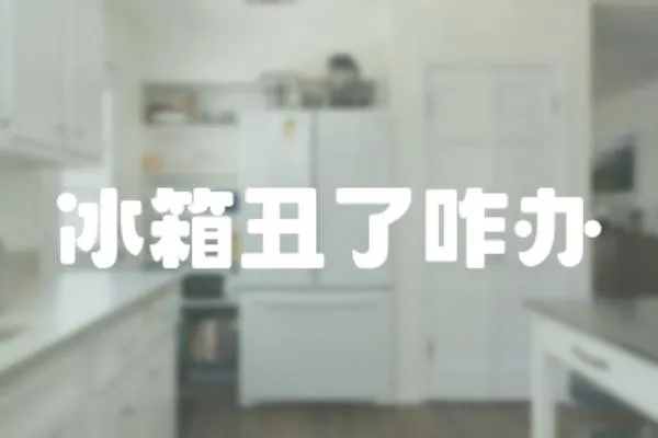 冰箱丑了咋辦