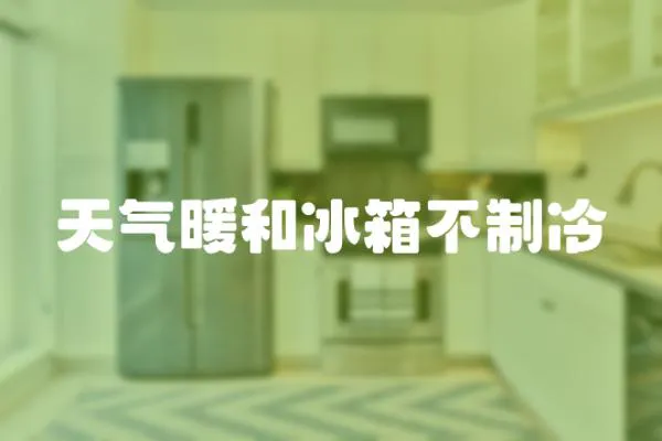 天氣暖和冰箱不制冷