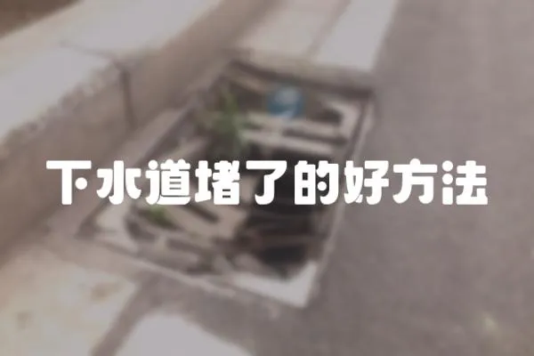 下水道堵了的好方法