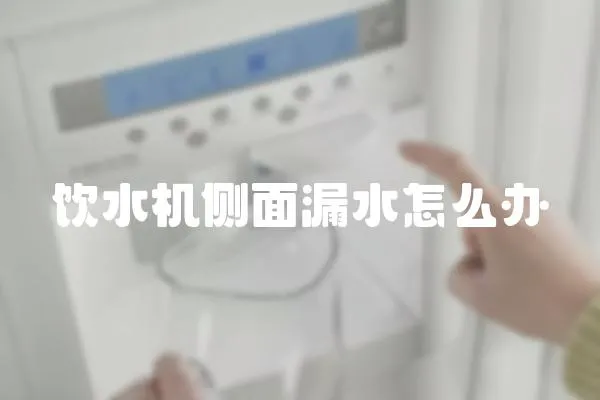 飲水機側面漏水怎么辦