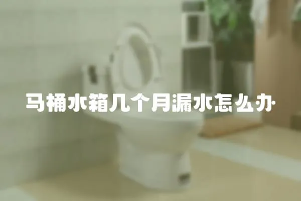馬桶水箱幾個月漏水怎么辦