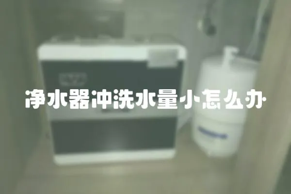 凈水器沖洗水量小怎么辦