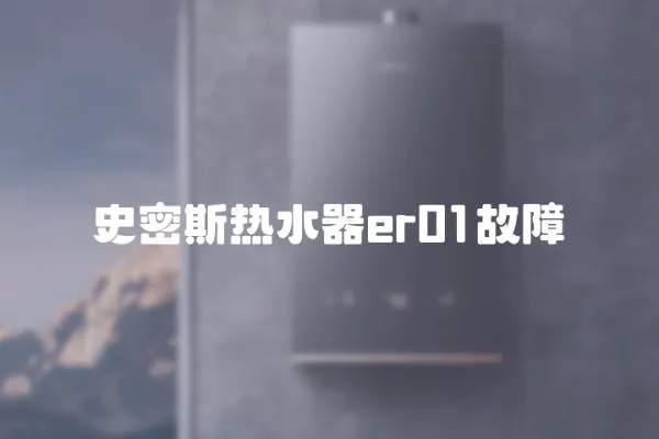 史密斯熱水器er01故障
