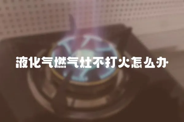 液化氣燃?xì)庠畈淮蚧鹪趺崔k