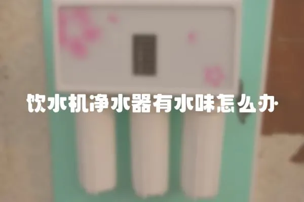 飲水機凈水器有水味怎么辦