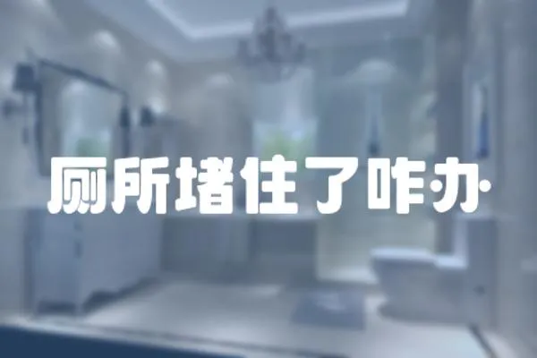 廁所堵住了咋辦