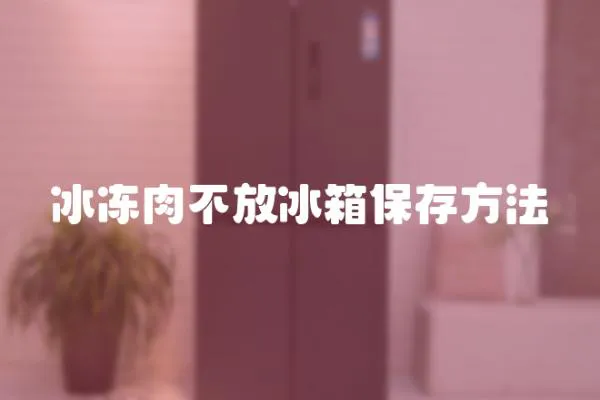 冰凍肉不放冰箱保存方法