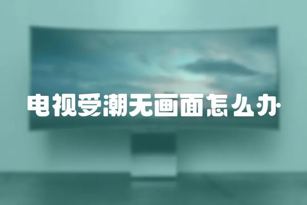 電視受潮無畫面怎么辦