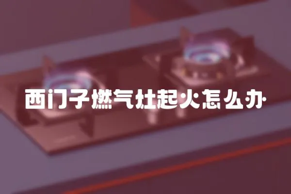 西門子燃氣灶起火怎么辦