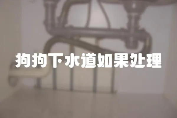 狗狗下水道如果處理