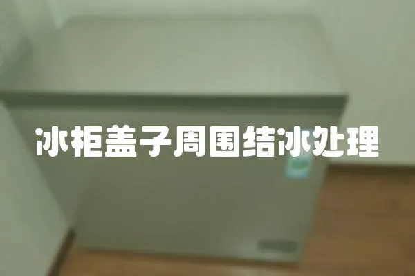 冰柜蓋子周圍結冰處理