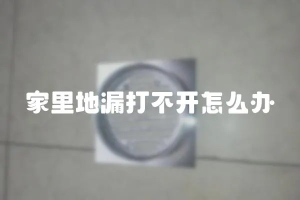 家里地漏打不開怎么辦