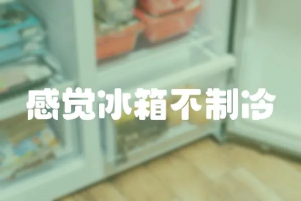 感覺冰箱不制冷