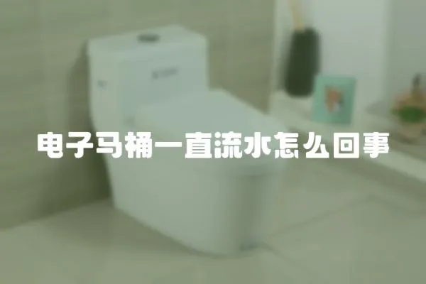 電子馬桶一直流水怎么回事