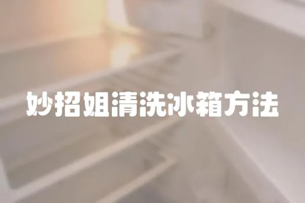 妙招姐清洗冰箱方法