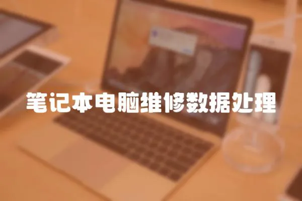 筆記本電腦維修數據處理