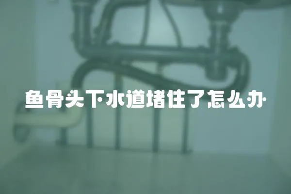魚骨頭下水道堵住了怎么辦