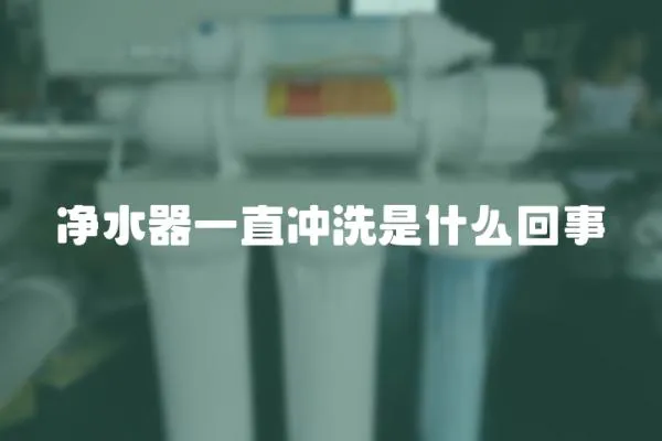 凈水器一直沖洗是什么回事