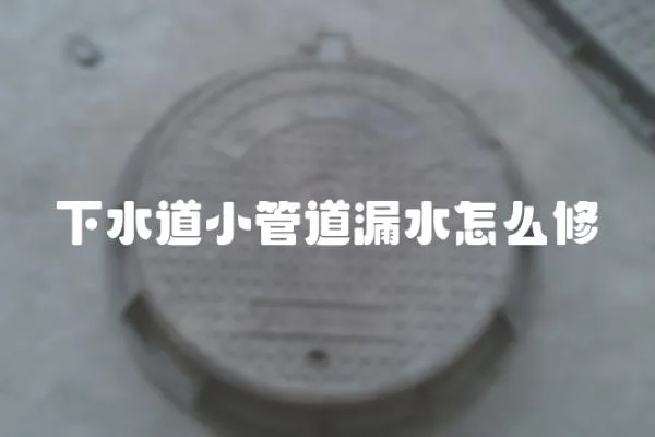 下水道小管道漏水怎么修
