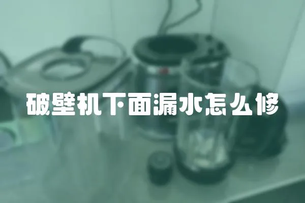 破壁机下面漏水怎么修