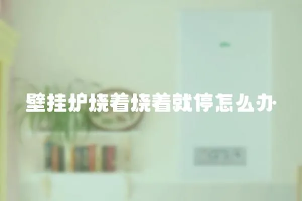 壁掛爐燒著燒著就停怎么辦