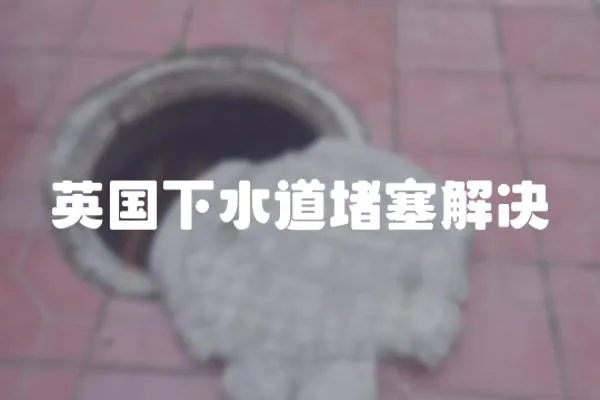 英國下水道堵塞解決