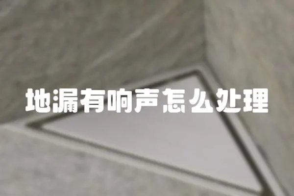 地漏有響聲怎么處理
