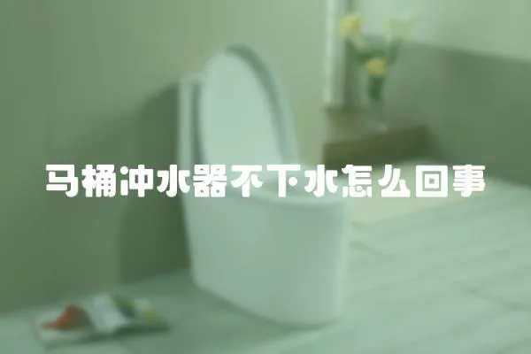 馬桶沖水器不下水怎么回事