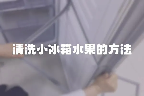 清洗小冰箱水果的方法