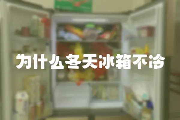 為什么冬天冰箱不冷