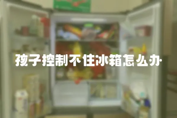 孩子控制不住冰箱怎么辦