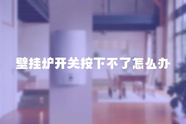 壁掛爐開關按下不了怎么辦