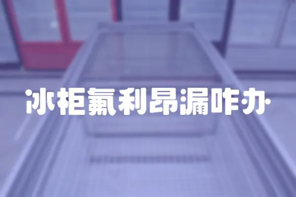 冰柜氟利昂漏咋辦