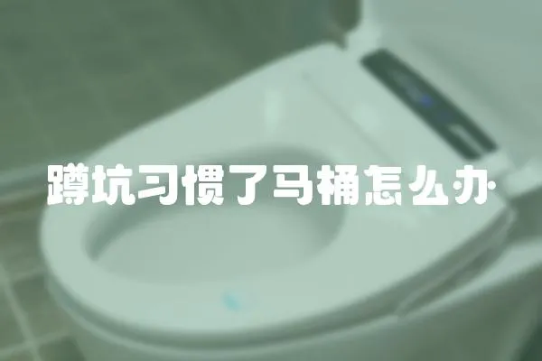 蹲坑習慣了馬桶怎么辦