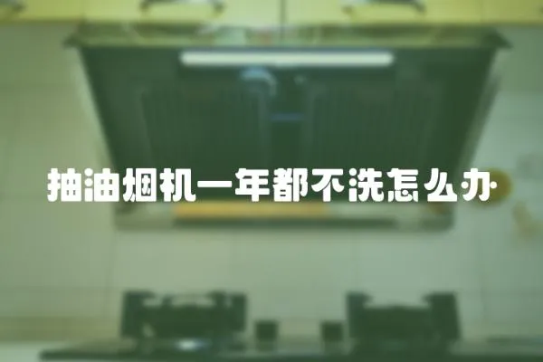 抽油煙機(jī)一年都不洗怎么辦