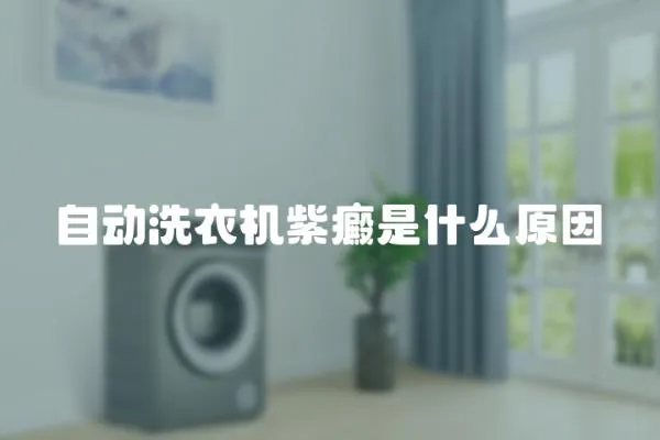 自動洗衣機紫癜是什么原因
