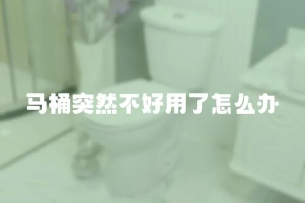 馬桶突然不好用了怎么辦