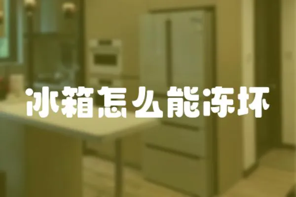 冰箱怎么能凍壞