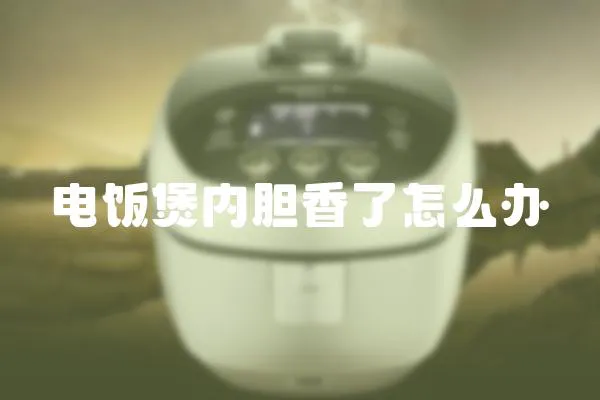 電飯煲內膽香了怎么辦