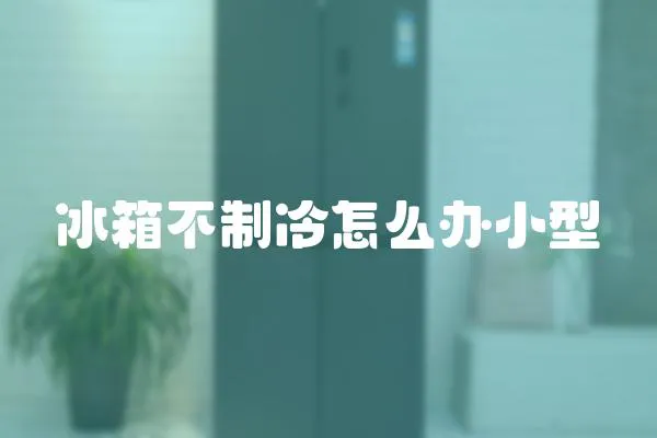 冰箱不制冷怎么辦小型