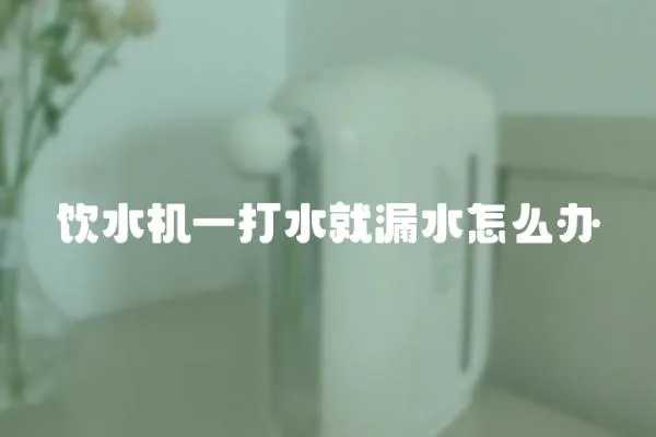 飲水機一打水就漏水怎么辦