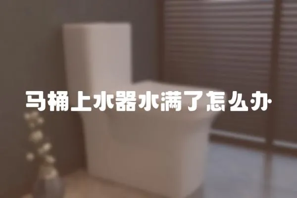 馬桶上水器水滿(mǎn)了怎么辦