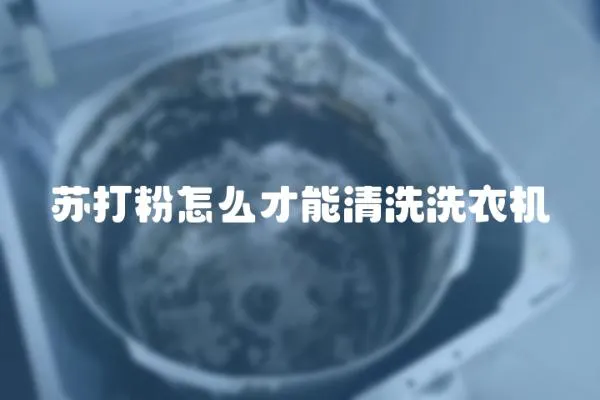 苏打粉怎么才能清洗洗衣机